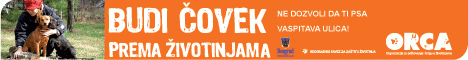 baner_budi_covek.gif, 15 KB